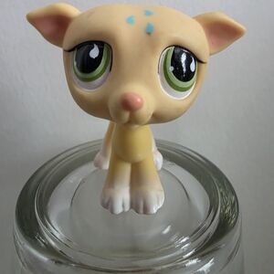 2/$20 Lps Greyhound Whippet Dog LPS #875 Puppy Green Teardrop Eyes